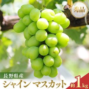 ふるさと納税 高森町 【大人気!】長野県産・シャインマスカット(約1kg) 秀品