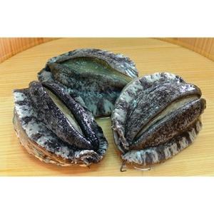 ふるさと納税 湯浅町 やわコリ食感紀州活アワビ (3-4個入)