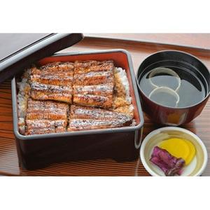 創業47年以上　3代目が焼く関西風地焼蒲焼き真空パックB(UK-02)
