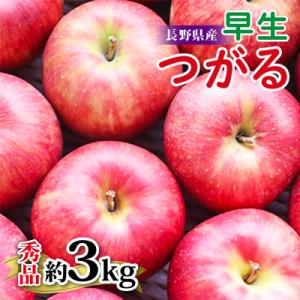 【長野県産】早生りんご(つがる)約3kg 秀品〈2026年9月上旬～9月中旬発送〉