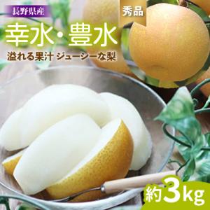 ふるさと納税 飯田市 溢れる果汁 ジューシーな梨(幸水・豊水)約3kg 秀品〈2026年8月下旬〜9月中旬発送〉