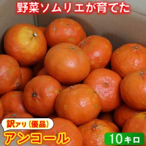 ふるさと納税 杵築市 【訳あり・優品】野菜ソムリエが育てた九州・大分県杵築産「アンコール」約10kg