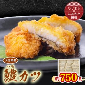 【生活応援】大分県産鱧カツ(小)(約750g) おかずやおつまみにおすすめ!