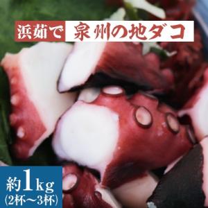 ふるさと納税 岸和田市 泉州の地ダコ約1kg(2杯〜3杯)