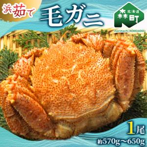 【北海道産】 浜ゆで毛ガニ×1尾