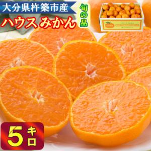 冷やしてひんやり!甘さ広がるハウスミカン!約5kg入り(バラ詰め)