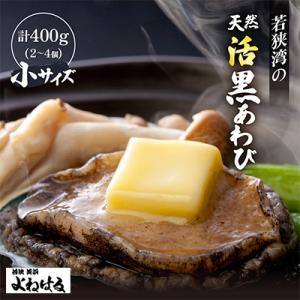 若狭湾の天然活黒アワビ　400g