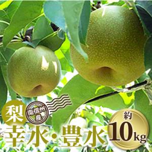 南信州産「梨」約10kg＜幸水・豊水＞