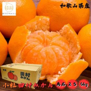ふるさと納税 湯浅町 <2025年11月〜発送>【和歌山特産品】逸品!田村みかん〔2Sサイズ〕秀品　約5kg