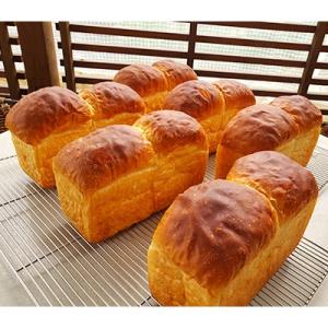 記事番号:33351/アイテムID:71641の画像