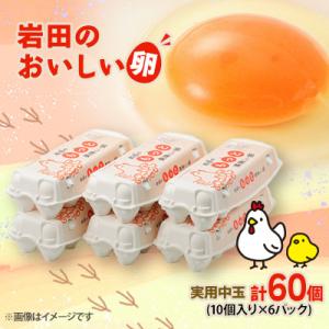 ふるさと納税 榛東村 岩田のおいしい卵　実用中玉60個