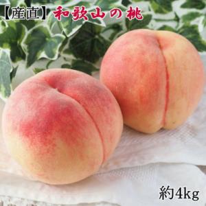 ふるさと納税 紀の川市 ≪産直・和歌山の特産品≫和歌山の桃　約4kg・秀品　2024年度発送分