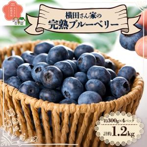 横田さん家の完熟ブルーベリー　4パック