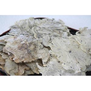 一ノ蔵のお魚せんべい　10g5個