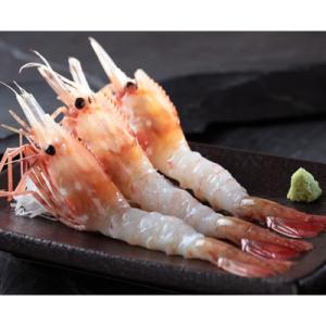 ふるさと納税 森町 【噴火湾産】ぼたん海老　大サイズ　250g×4セット(1kg)