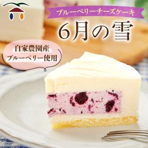 ブルーベリーチーズケーキ　6月の雪
