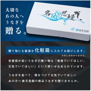 ふるさと納税 志布志市 【さとふる限定】鹿児島...の詳細画像3