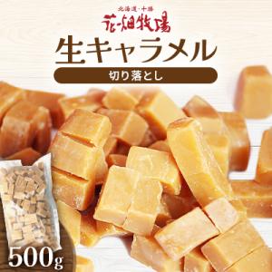 【訳あり】花畑牧場の生キャラメル500g(切り落とし・お徳用) [P1-14C]