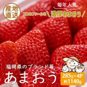 ふるさと納税 豊前市 こだわりの濃厚あまおう　285g×4パック【福岡県産あまおう苺】2025年1月発送開始