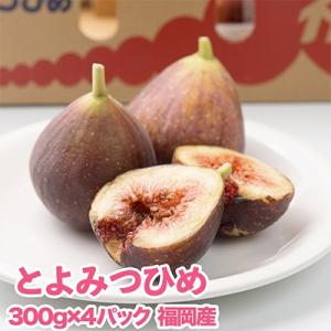【先行受付】福岡限定!ブランドいちじく「とよみつひめ」約300g×4パック(大野城市)