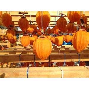 ふるさと納税 郡上市 岐阜県郡上産蜂屋柿の極上...の詳細画像2