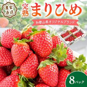 ふるさと納税 いちご 御坊市 農家直送 完熟まりひめ(和歌山県オリジナルブランドいちご)8P(2026年3月下旬より順次発送)