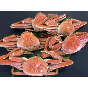 アイテムID:157707の画像1枚目