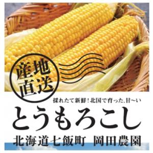 先行受付〈2025年7月より発送開始〉北海道七飯町産とうもろこし「ゴールドラッシュ」 18本セット