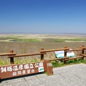 ふるさと納税 釧路町 観光タクシー　釧路町側からみる釧路湿原【2時間コース】利用券1枚(定員4名分)