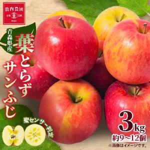 【甘くてみずみずしい】 りんご 葉取らずふじ 蜜入判定 約3kg (約9～12個) 青森市 産地直送