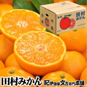 【先行受付】田村みかん特選ギフト品3kg/サイズ指定なし/湯浅町田村地区産/産地直送