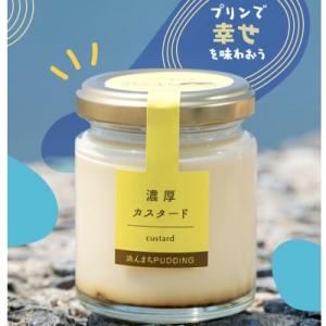 ふるさと納税 時津町 美味しいカスタードプリン12個セット