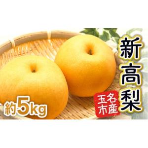 ふるさと納税 玉名市 玉名市産　新高梨　約5kg(5玉〜10玉)