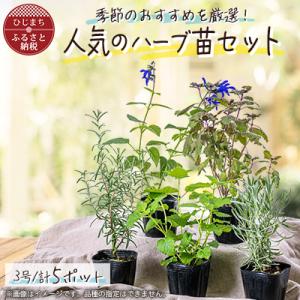 アイテムID:154606の画像1枚目