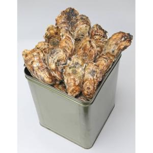 ふるさと納税 七尾市 山口水産の能登かき　殻付き一斗缶