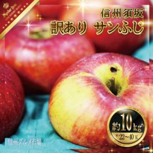 ふるさと納税 須坂市 【2024年11月より順次発送】訳あり サンふじ約10kg(約22〜40玉)　信州グルメ市場厳選