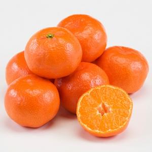 ふるさと納税 三豊市 金時紅みかん(小原紅早生)　約5kg｜さとふる