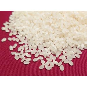 アイテムID:604991の画像1枚目