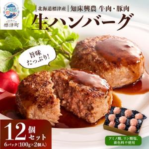 生ハンバーグ12個セット　冷凍 国産 牛肉 豚肉