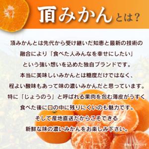 ふるさと納税 八幡浜市 三代目の頂みかんTHE...の詳細画像1