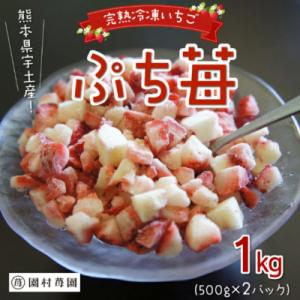熊本県宇土産　完熟冷凍いちご「ぷち苺」1kg(500g×2袋) 園村苺園