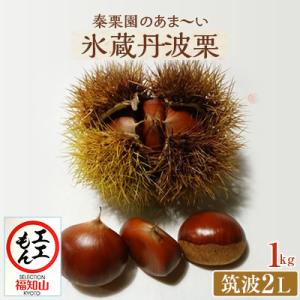秦栗園のあま～い氷蔵丹波栗 筑波2L 1kg【熟成】生栗 大粒 10月下旬発送
