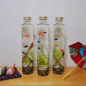 ふるさと納税 富士吉田市 金魚のハーバリウムの詳細画像2