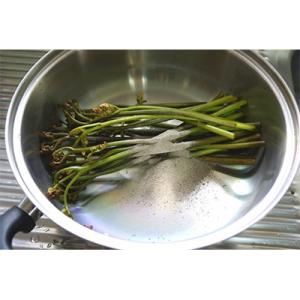 ふるさと納税 沼津市 木灰4kg [楢・樫・ク...の詳細画像3