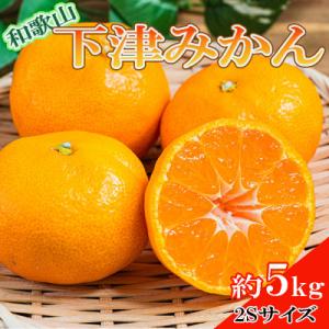 【産直・秀品】和歌山下津みかん約5kg(2Sサイズ) (美浜町)