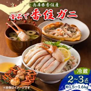 ふるさと納税 養父市 兵庫県香住産　釜茹で香住ガニ(紅ズワイガニ)2〜3匹入り(約1.5〜1.6kg...