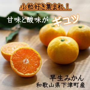 小粒早生みかん5kg (S～3S混合)和歌山県のまごころ産直みかんより新鮮な果実を産地直送します