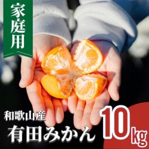 【2026年発11月中旬より順次発送】和歌山産 有田みかん 約10kg 家庭用【まごころ手選別】