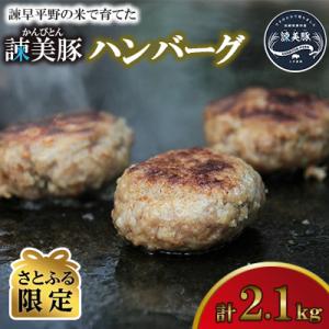 【さとふる限定】諫早平野の米で育てた諫美豚(かんびとん)ハンバーグ2.1kg