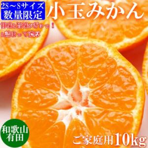 先行受付【ご家庭用】旨味凝縮有田みかん約10kg(SS、Sサイズ)【湯浅町】